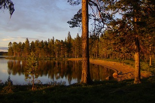 Blick aus der Wilderness Lodge 